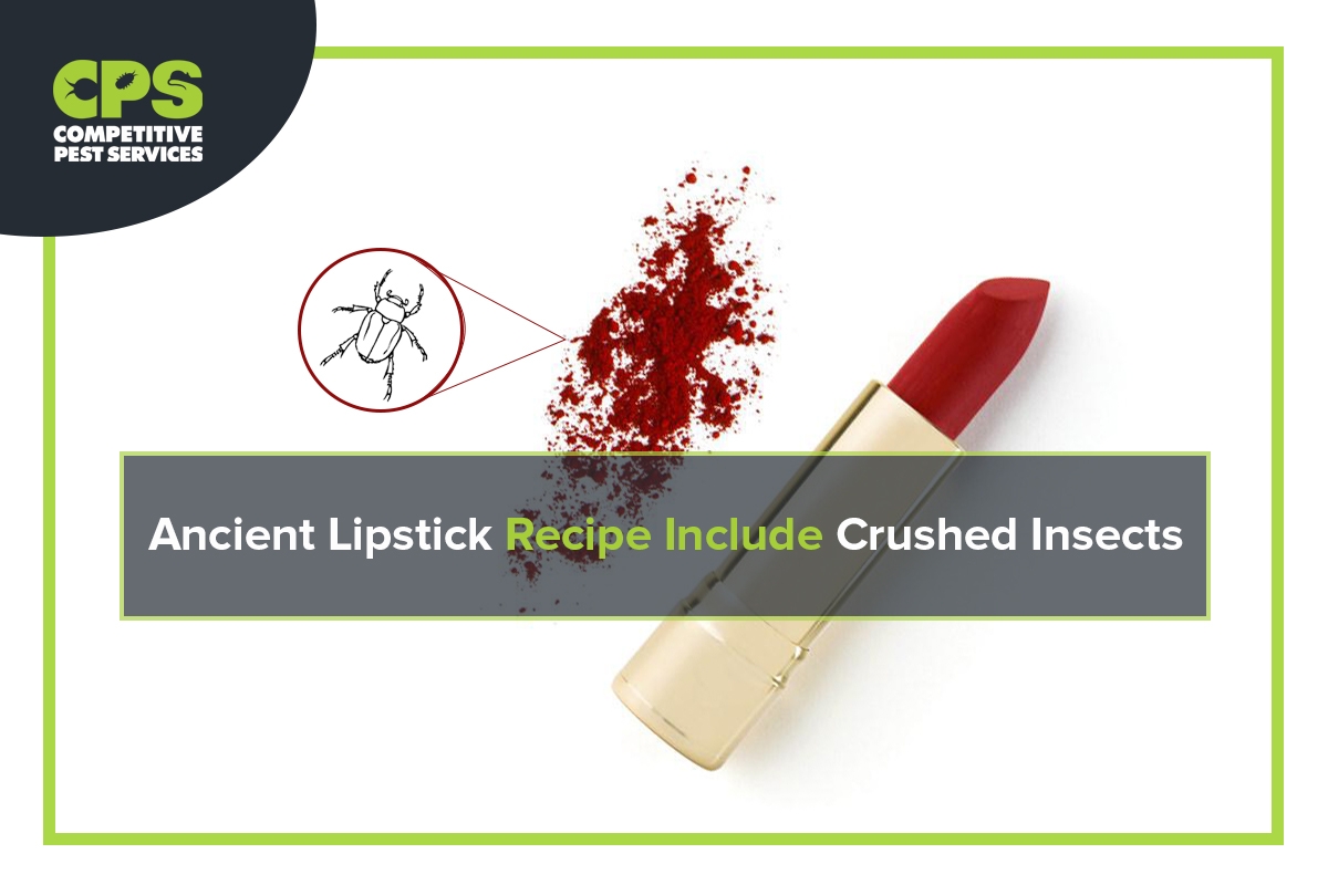 Is Lipstick Made From Bugs at Arthur Urbaniak blog