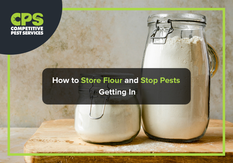 https://competitivepestcontrol.com.au/wp-content/uploads/How-to-Store-Flour-and-Stop-Pests-Getting-In-1.jpg