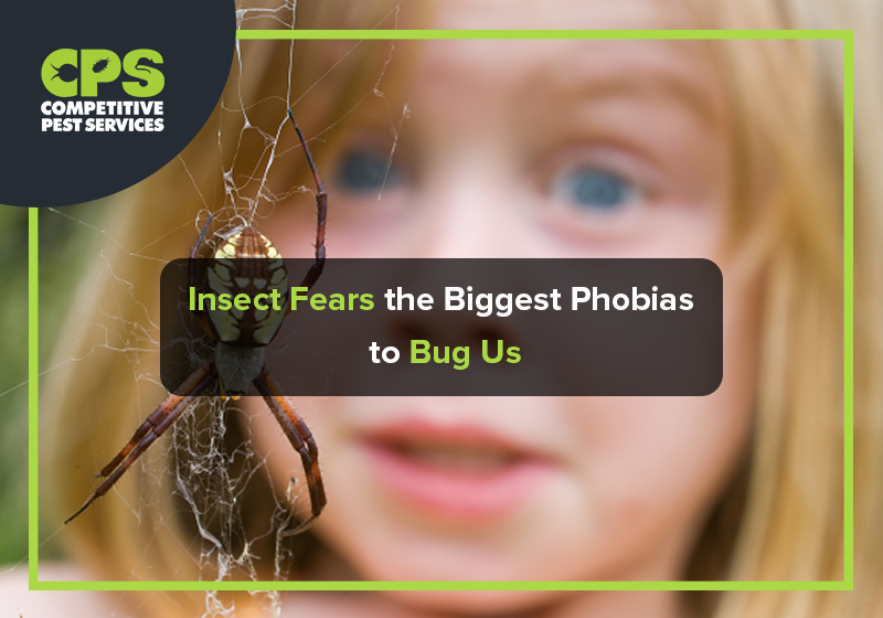 Insect Fears the Biggest Phobias to Bug us Competitive Pest Services