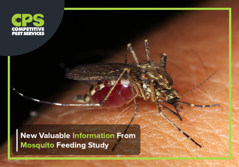 New Valuable Information from Mosquito Feeding Study | Pest Control