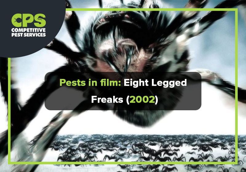 eight legged freaks spider species