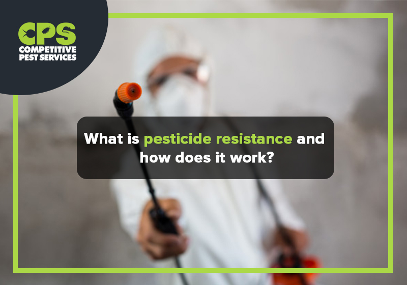 What Is Pesticide Resistance And How Does It Work Competitive Pest